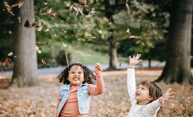 Activités enfant à ne pas manquer dans les parcs de loisirs de la